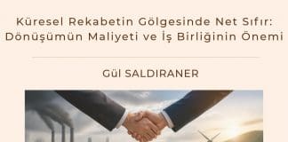 Küresel Rekabetin Gölgesinde Net Sıfır Dönüşümün Maliyeti Ve İş Birliğinin önemi