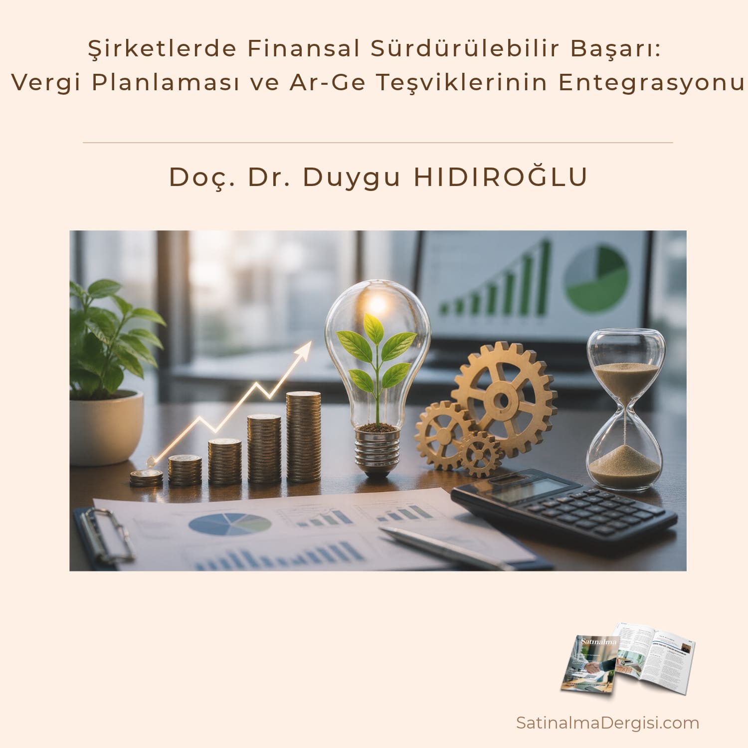 şirketlerde Finansal Sürdürülebilir Başarı Vergi Planlaması Ve Ar Ge Teşviklerinin Entegrasyonu